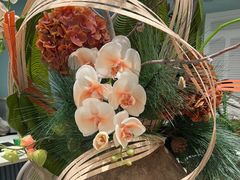 -椰子不语 椰子鸡火锅(淮海店)