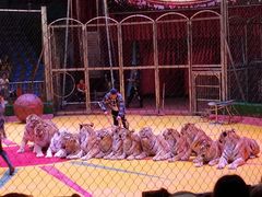 -西安秦岭野生动物园