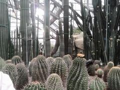 -南山植物园