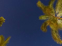 -三亚海棠湾万丽度假酒店