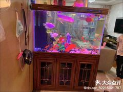 -益财水族馆
