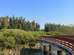 -宝安西湾红树林湿地公园