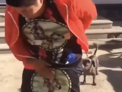 -五月古筝钢琴私塾