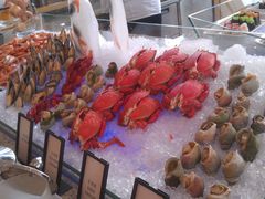 -视界美食自助餐厅·石家庄希尔顿酒店