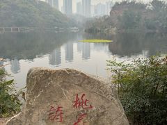-重庆彩云湖湿地公园