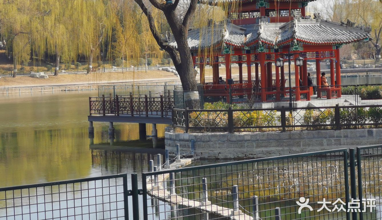 天气不错，又是一年的春天