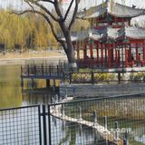 天气不错，又是一年的春天