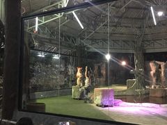-清迈夜间动物园