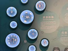 -中国湿地博物馆