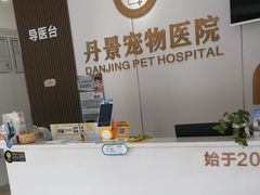 -丹景宠物医院·全科·老年病·牙科(武昌诊疗中心)