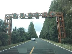 -黄海国家森林公园