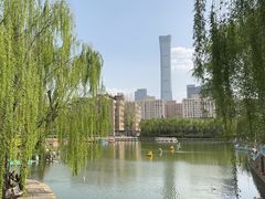 -团结湖公园