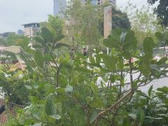 -SAANCI山池咖啡(海上世界文化艺术中心店)