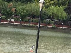 -苏州河梦清园环保主题公园