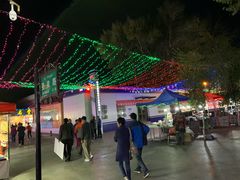 -布尔津河堤夜市