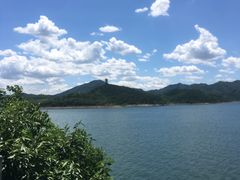 -望湖烤鱼