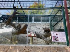 -泉州海丝野生动物世界