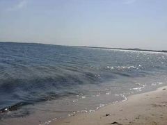 -海滨浴场