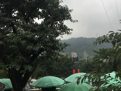 -老幺泉水鸡