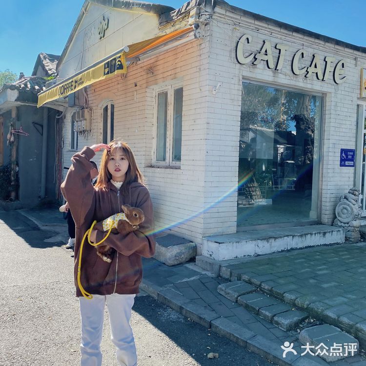 北京探店｜在后海街边遛兔子🐰