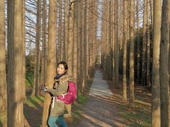 -上海长兴岛郊野公园