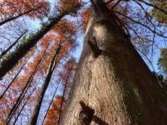 -华南国家植物园-售票处