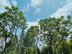 -长白岛森林公园