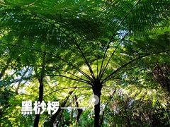 -呀诺达热带雨林