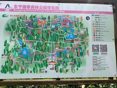 -东平国家森林公园