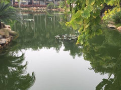 日月谷温泉渡假村-厦门日月谷温泉渡假村