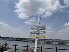 -鹅湖玫瑰文化园