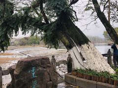 -桂林灵渠景区