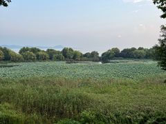 -上海市保健医疗中心