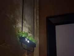 -新紫霞养生·影院足道·SPA(金山区店)