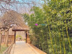 -大连植物园