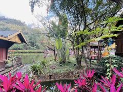 -野象谷景区