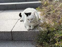 -北京凤凰岭