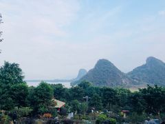 -英德宝晶宫天鹅湖茶语温泉