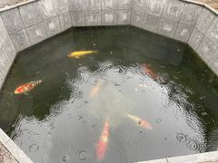 -西安市广仁寺