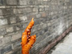 -嘉州九妹凤爪(乐山总店)