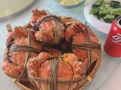 阳澄湖大闸蟹-蟹天蟹地农家菜·阳澄湖大闸蟹(浅水湾店)