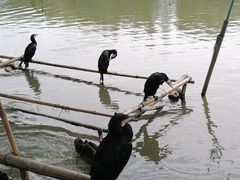 -长兴太湖图影湿地文化园