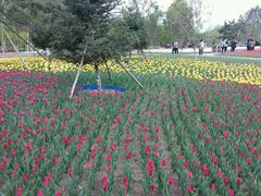 android_upload_pic-长春公园(普阳街道)