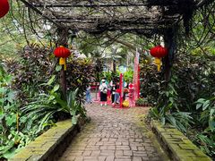-海南热带野生动植物园