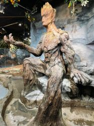 -Zoolung Zoolung动物主题公园(海信广场店)