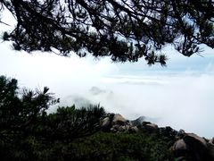 景点-天柱山风景区