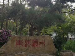 -东平国家森林公园