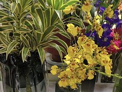 -拾花记花艺·求婚·订婚·生日布置(高新店)