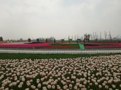-南通鲜花小镇