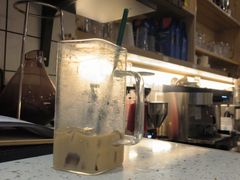 -滚猫咖啡·猫咖·猫友好撸猫(未来城店)